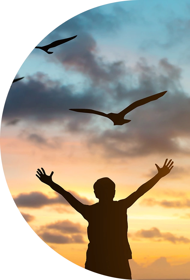 Reflexiones, herramientas y actualidad en psicología